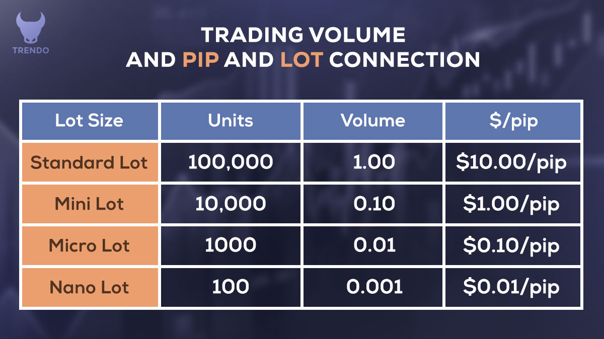 Types of lots in the forex market
