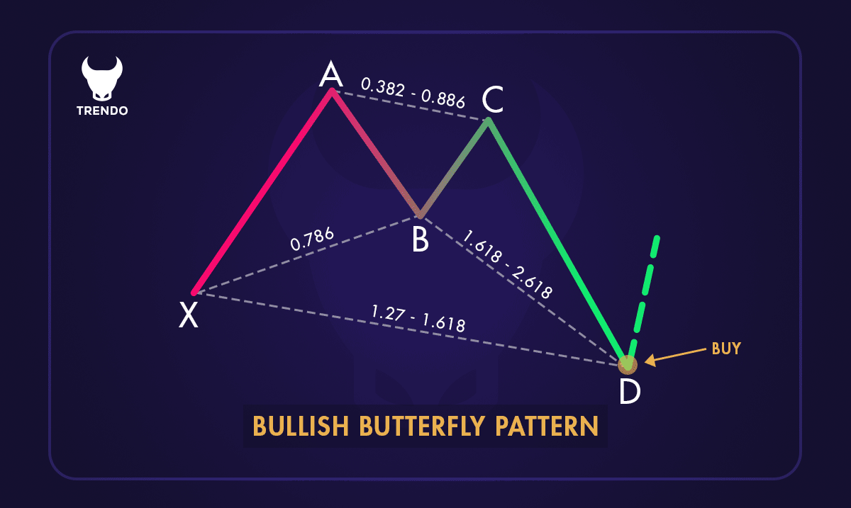 Types of Butterfly Patterns