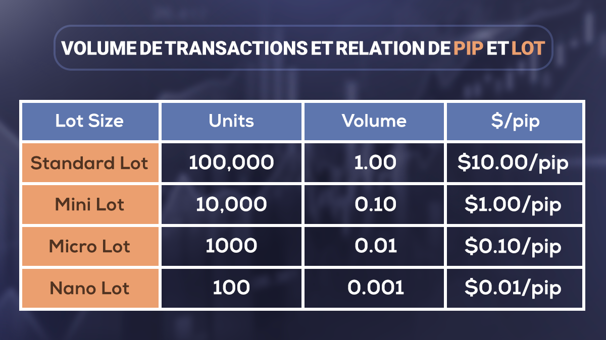 Types of lots in the forex market